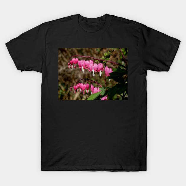 Bleeding Hearts T-Shirt by jalfc46